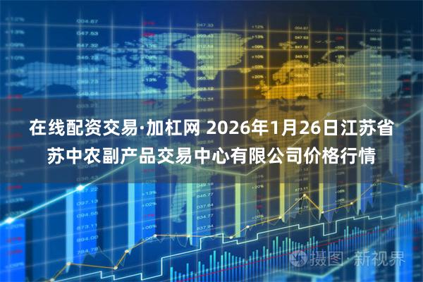 在线配资交易·加杠网 2026年1月26日江苏省苏中农副产品交易中心有限公司价格行情
