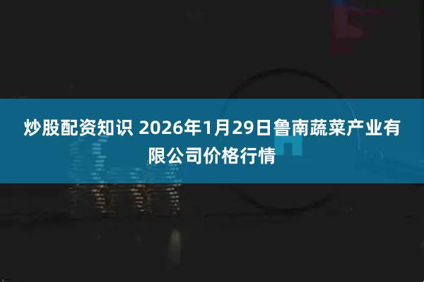 炒股配资知识 2026年1月29日鲁南蔬菜产业有限公司价格行情